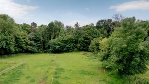 Field- click for photo gallery